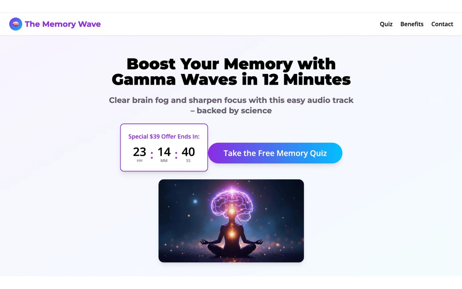 Memory Wave project screenshot